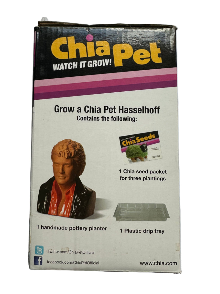 David Hasselhoff Chia Pet Decorative Planter – Nashville Recording