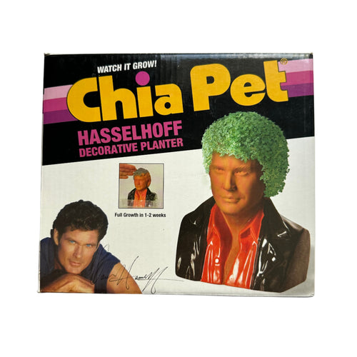 David Hasselhoff Chia Pet Decorative Planter